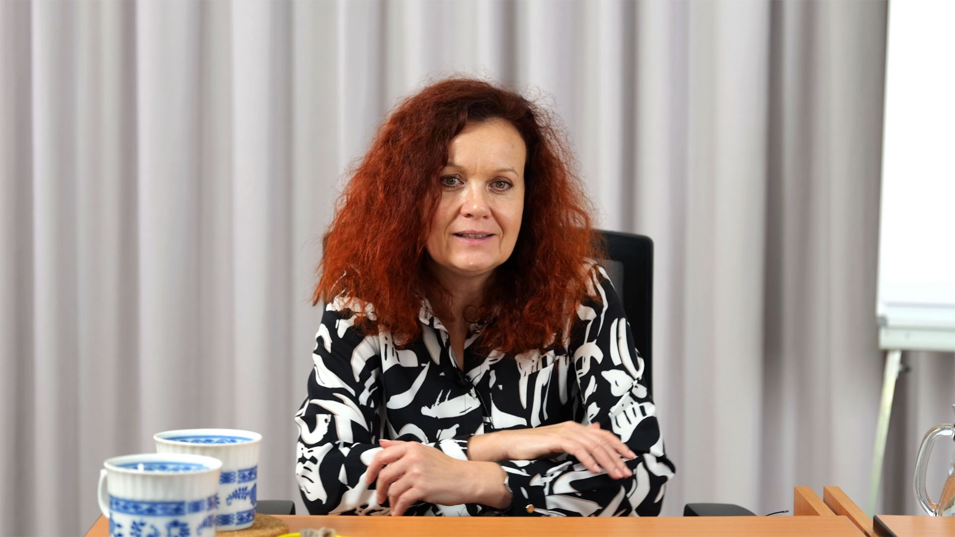 Ukázka přednášky školení Zařazování zboží do podpoložek kombinované nomenklatury pro účely celního řízení, statistiky vnitrounijních obchodů Intrastat a daňové legislativy